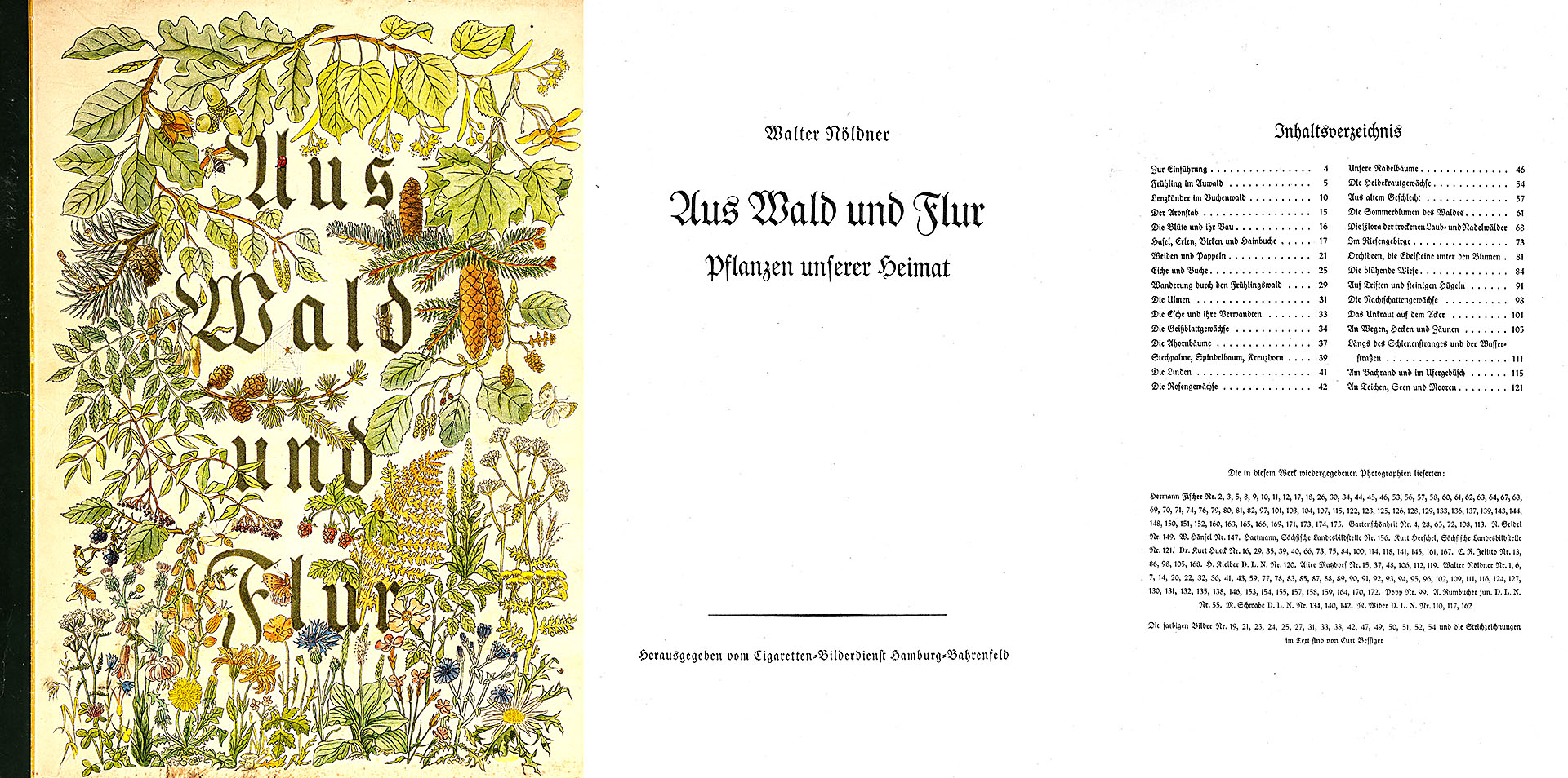 Sammelbilderalbum: Aus Wald und Flur - Teil 1 - Pflanzen unserer Heimat - Nöldner, Walter